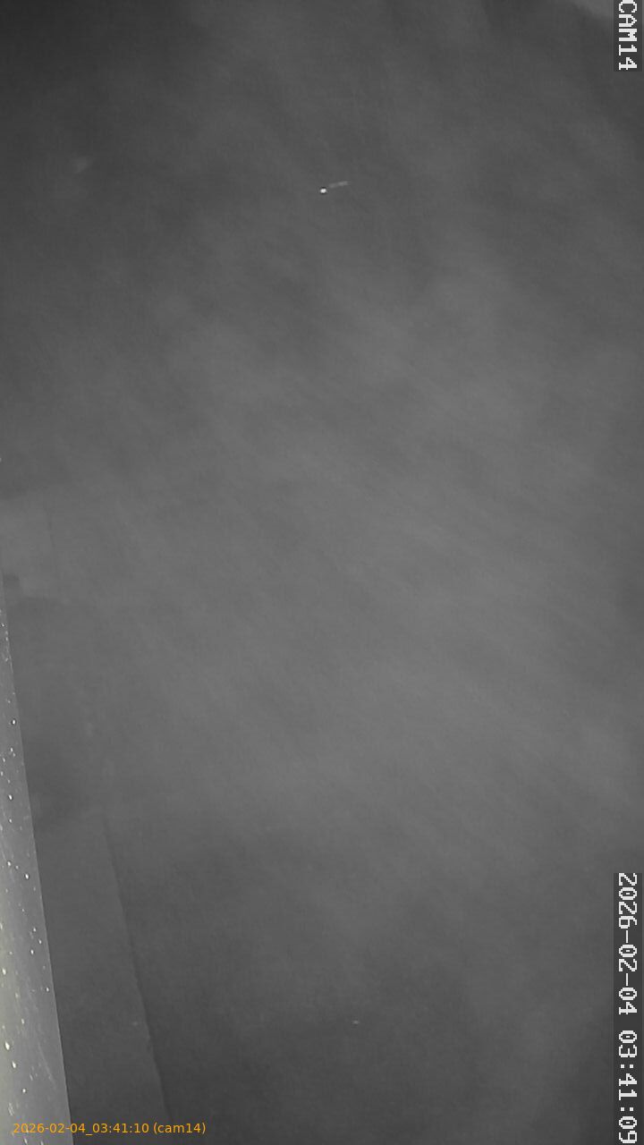 thumbnail_20260204034110