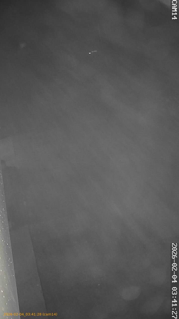 thumbnail_20260204034128