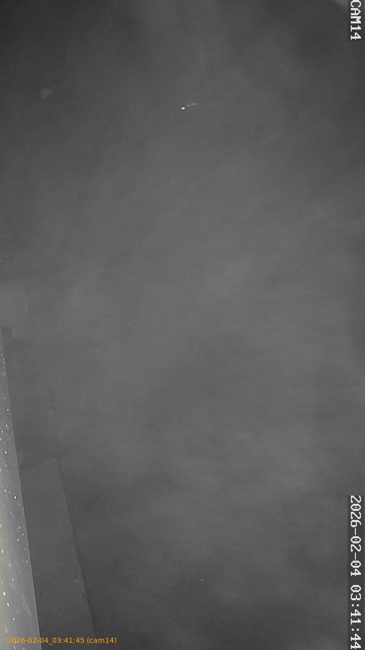 thumbnail_20260204034145