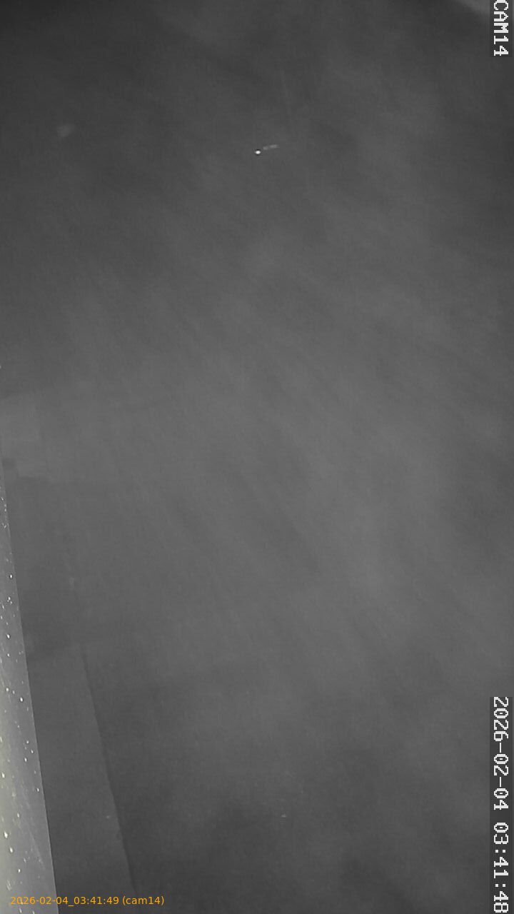 thumbnail_20260204034149