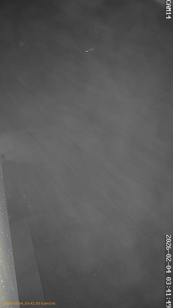 thumbnail_20260204034150