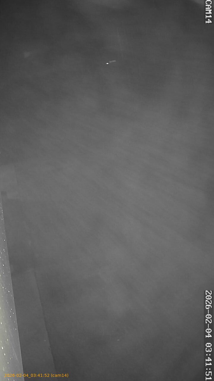 thumbnail_20260204034152