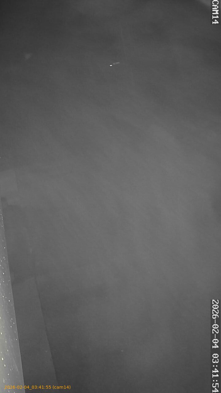 thumbnail_20260204034155