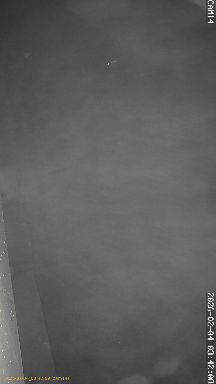 thumbnail_20260204034209