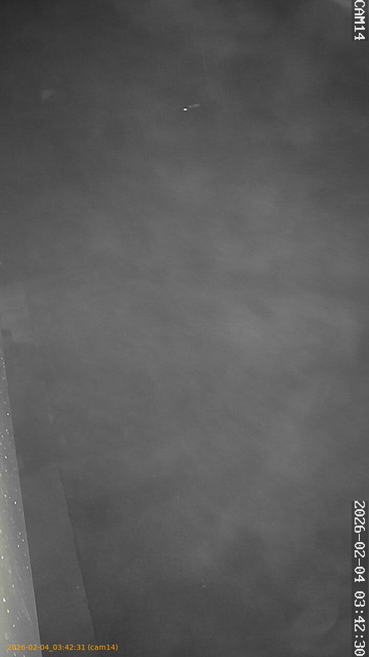 thumbnail_20260204034231