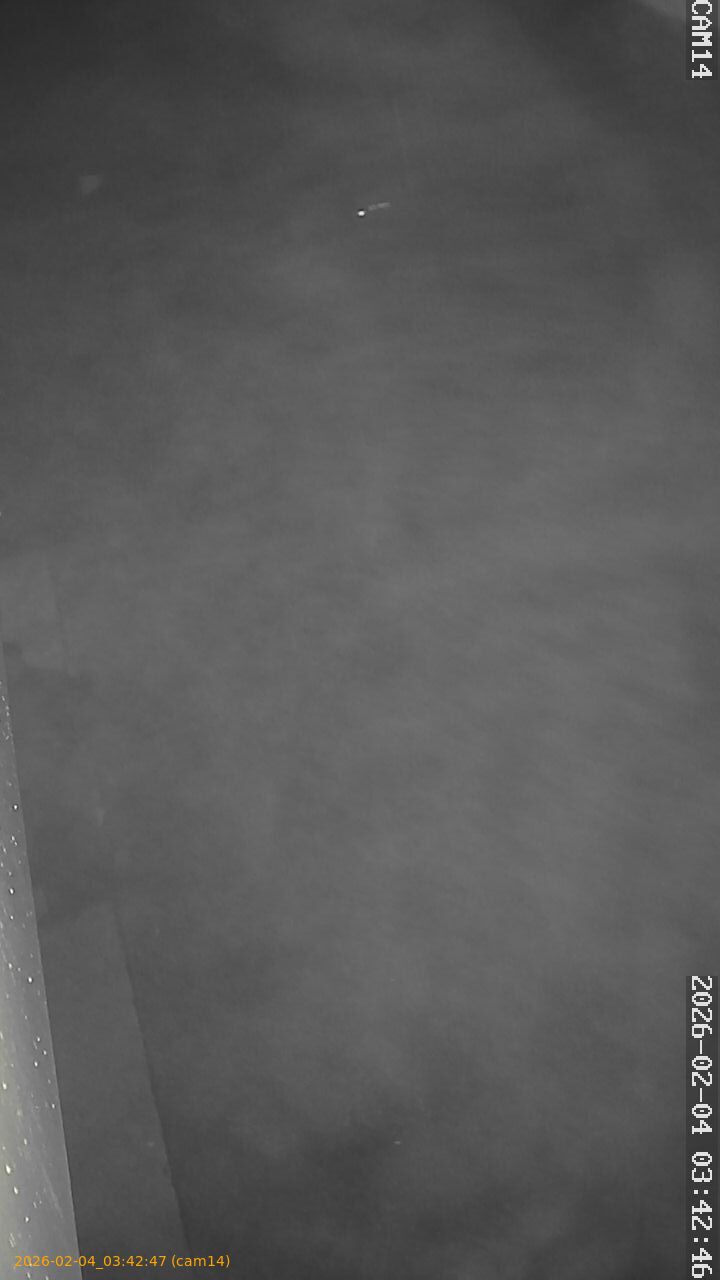 thumbnail_20260204034247