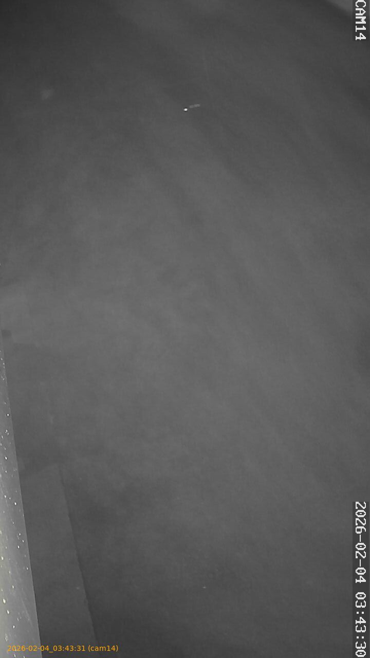 thumbnail_20260204034331