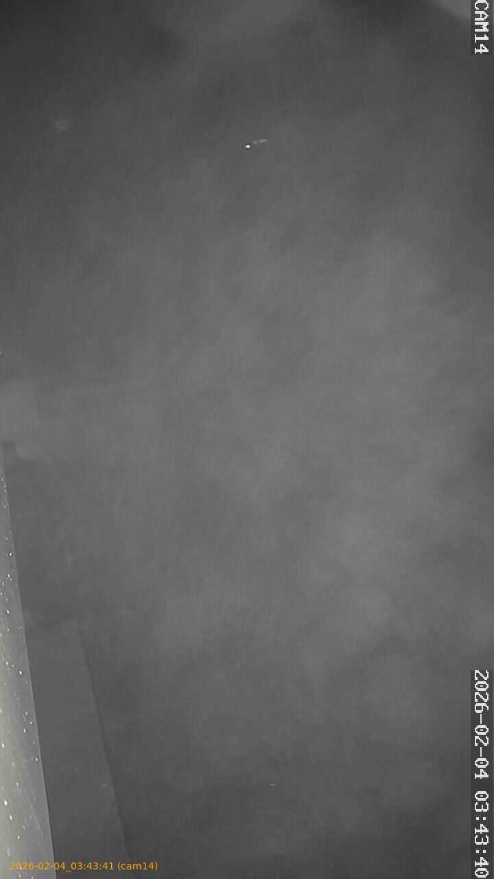 thumbnail_20260204034341