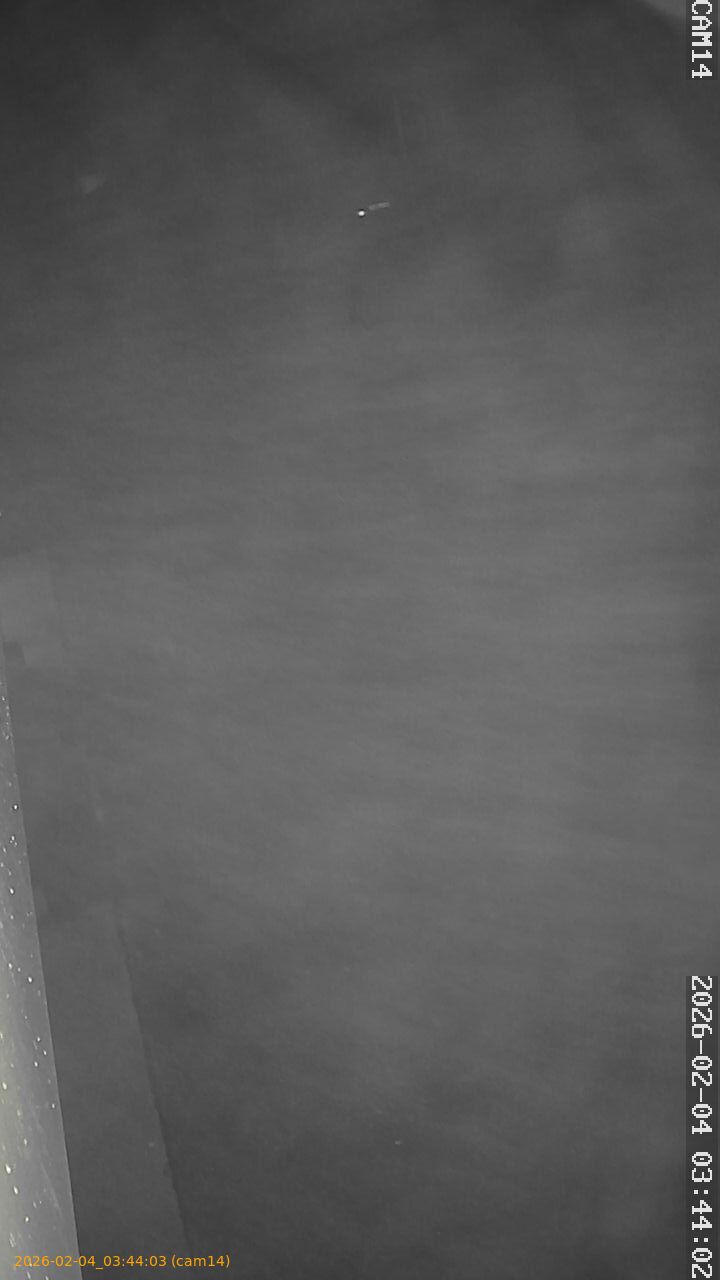 thumbnail_20260204034403