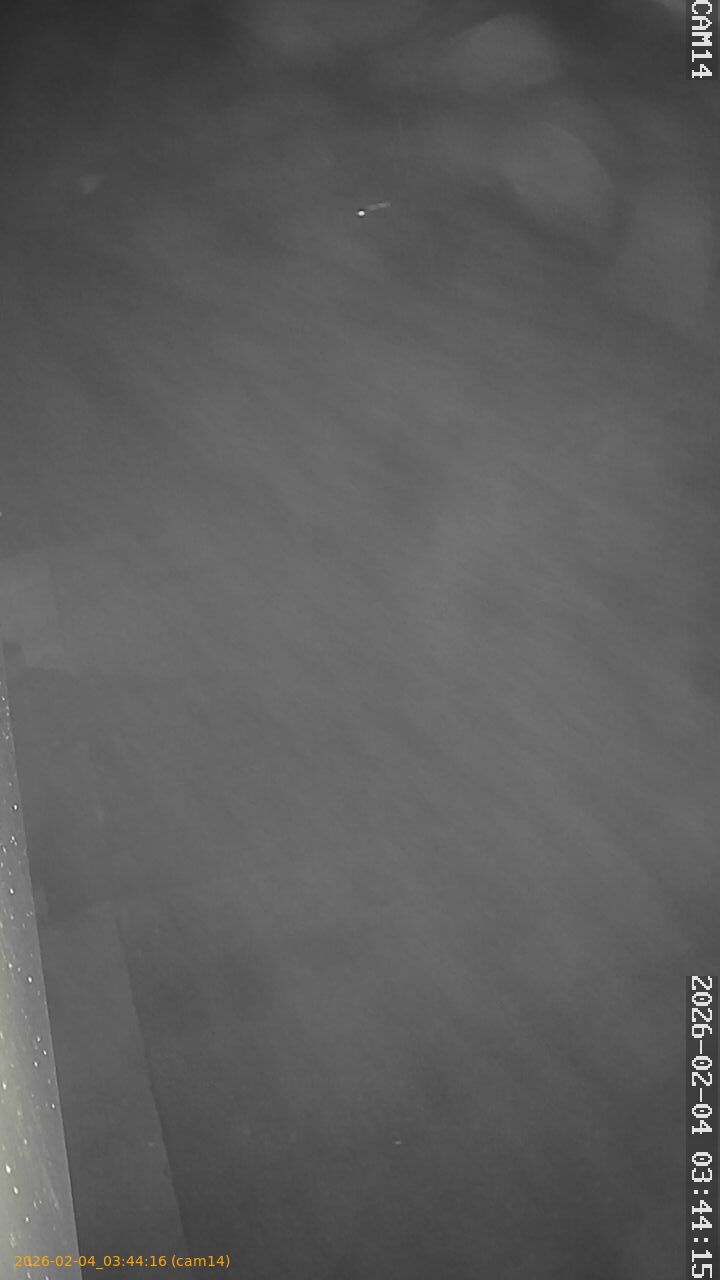 thumbnail_20260204034416