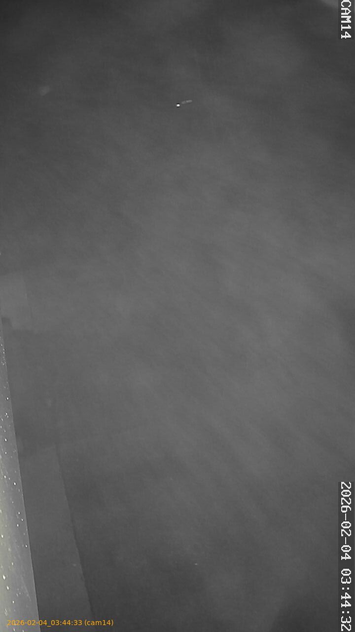 thumbnail_20260204034433