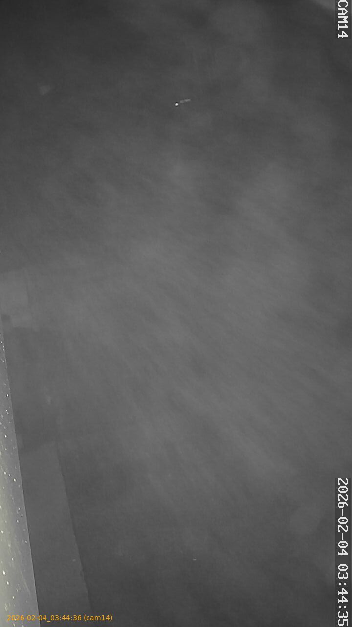 thumbnail_20260204034436