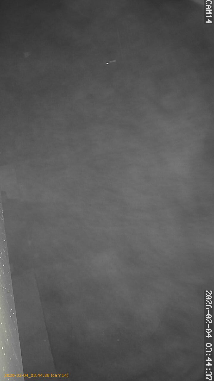 thumbnail_20260204034438