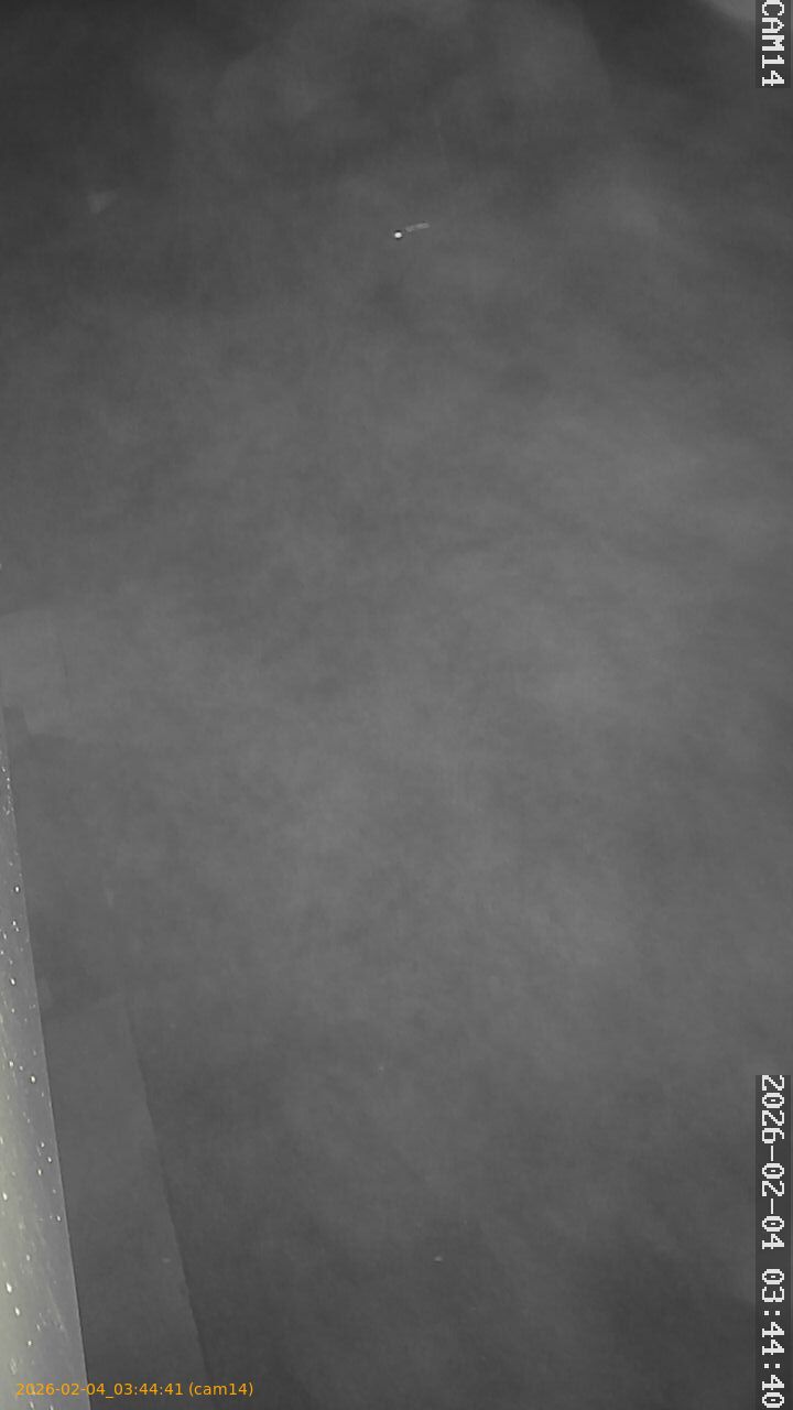 thumbnail_20260204034441