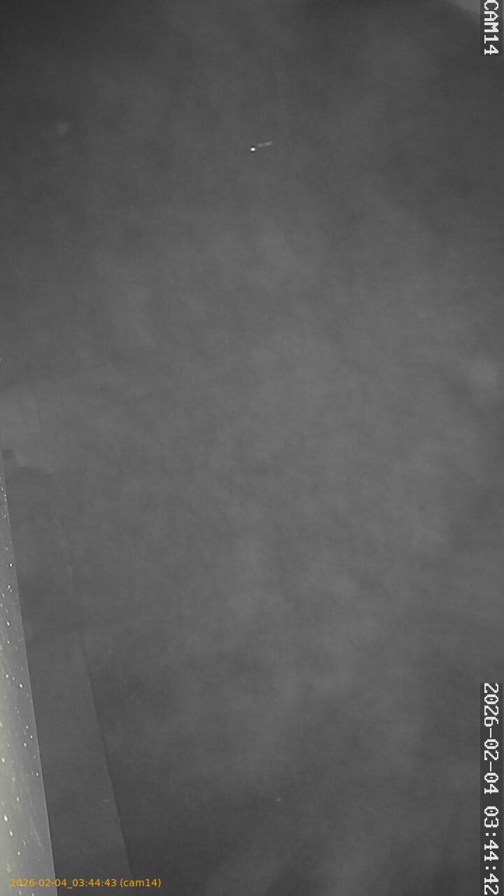 thumbnail_20260204034443