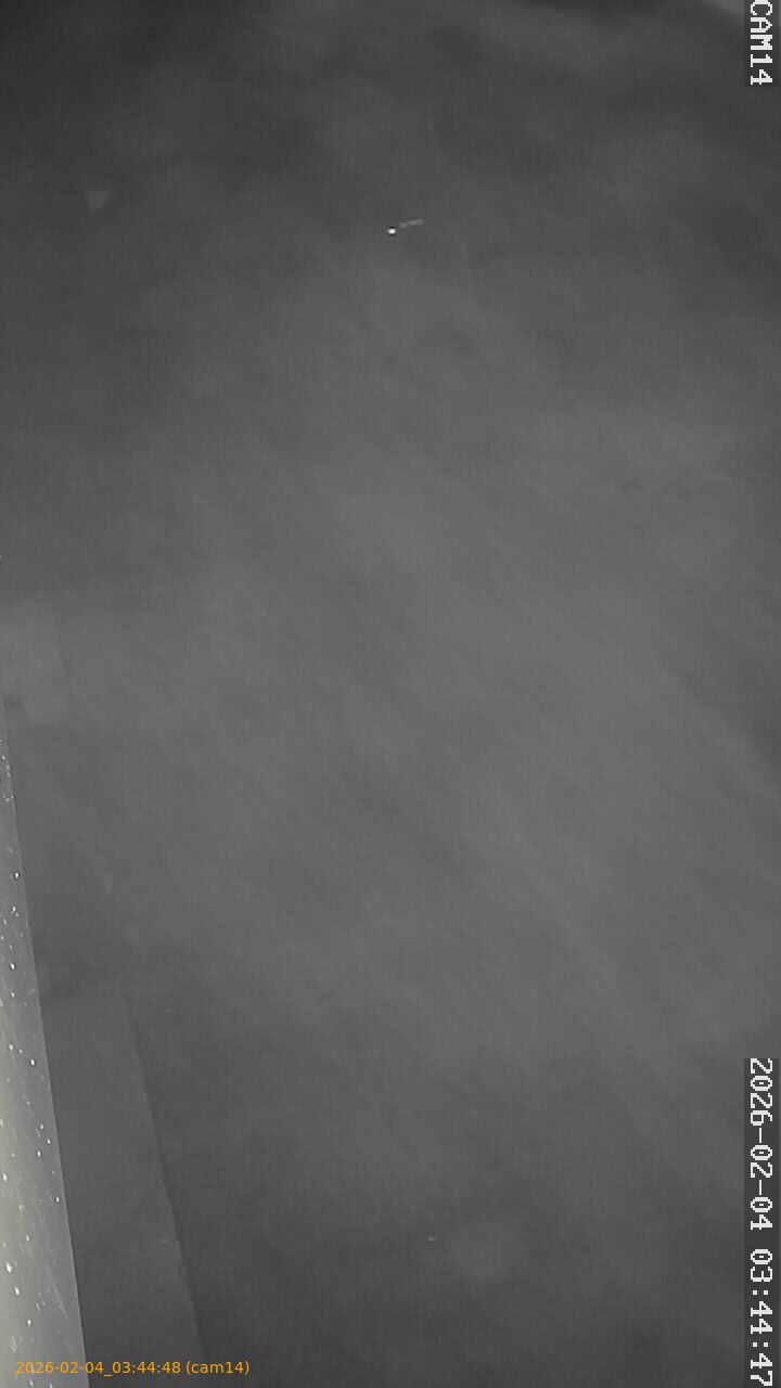 thumbnail_20260204034448