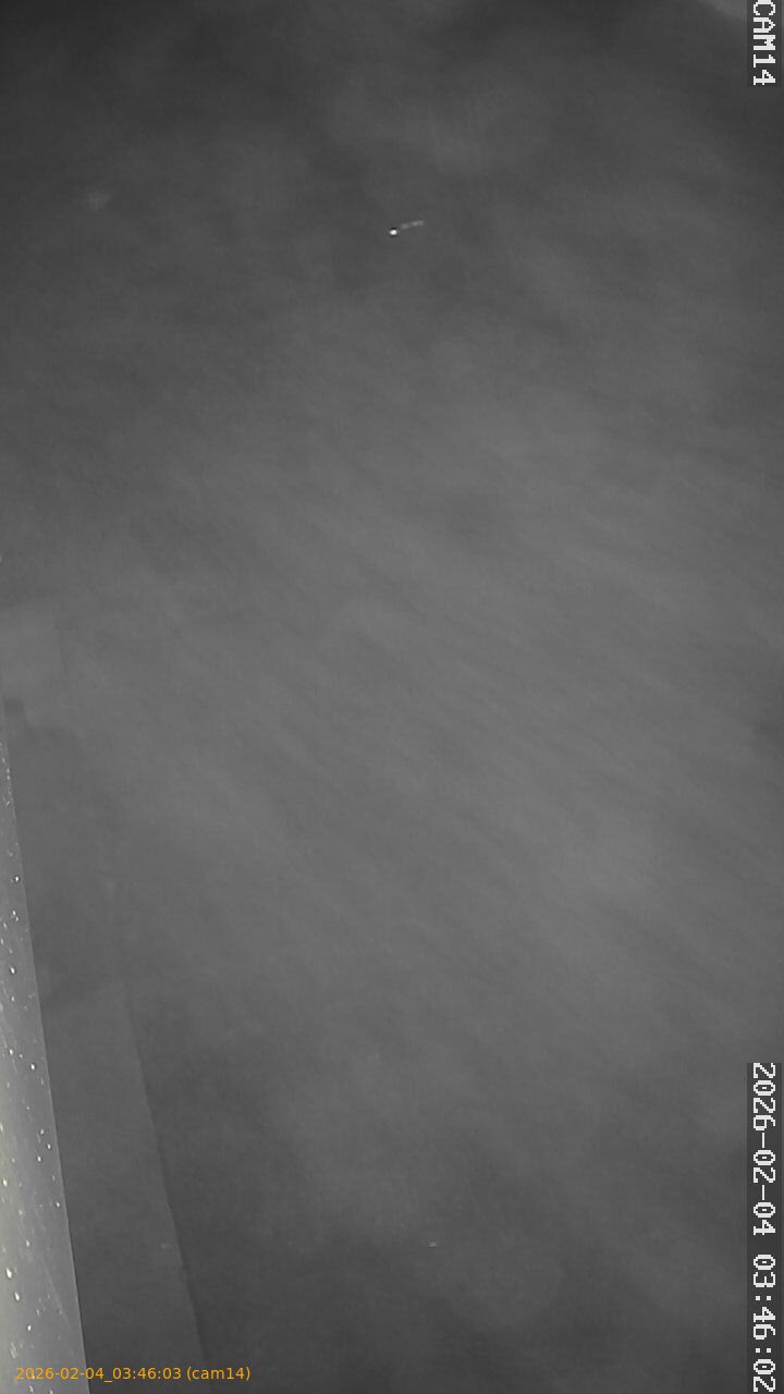 thumbnail_20260204034603