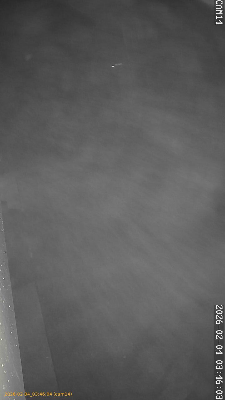 thumbnail_20260204034604