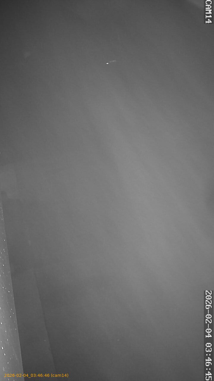 thumbnail_20260204034646