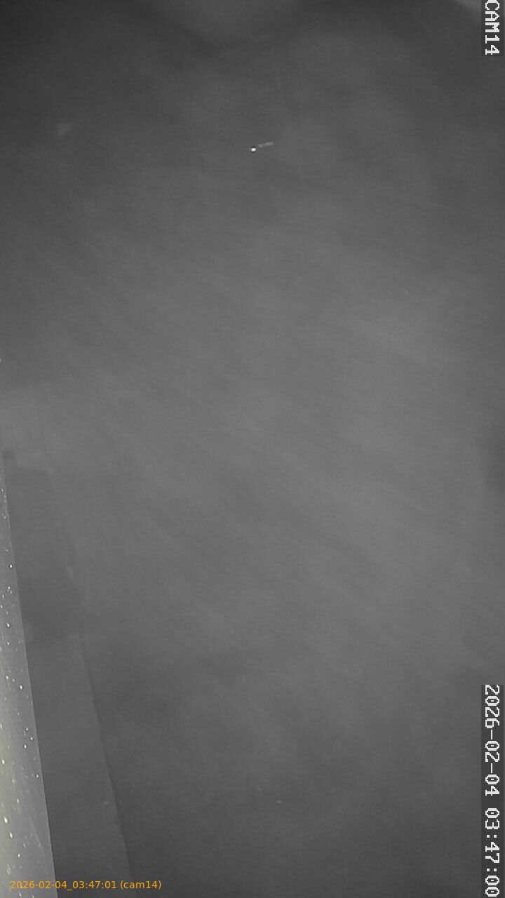 thumbnail_20260204034701