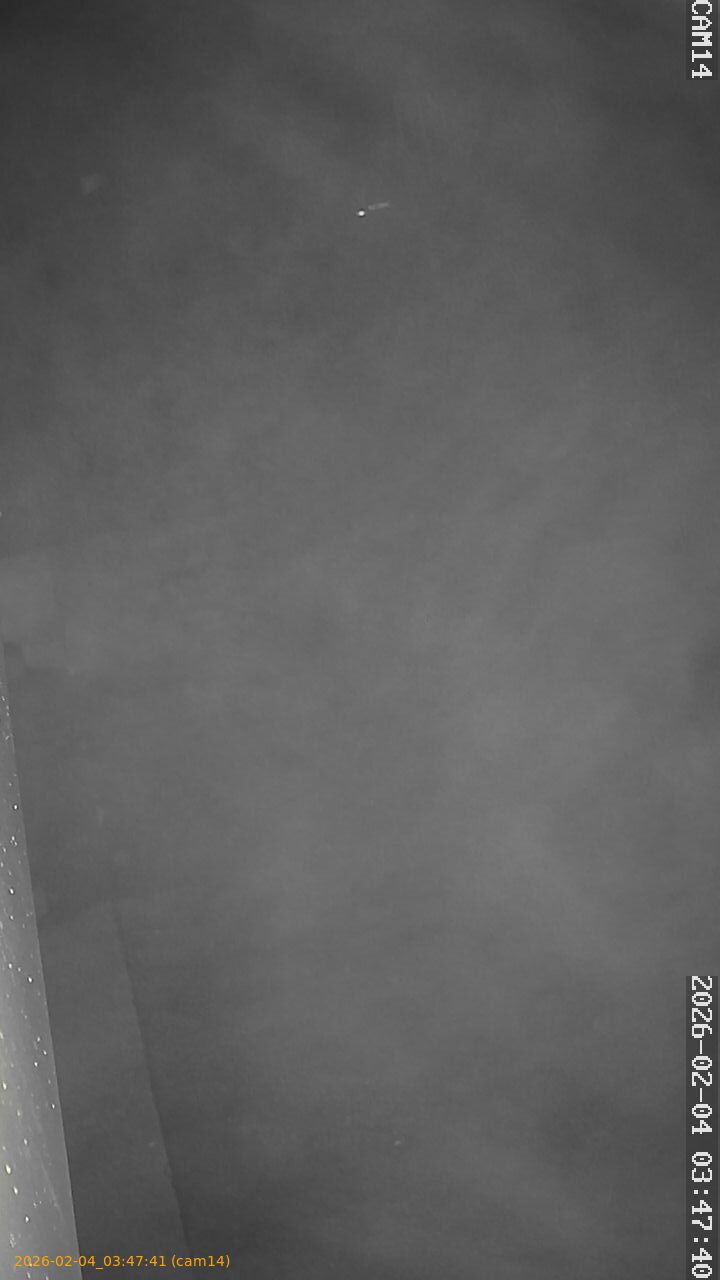 thumbnail_20260204034741