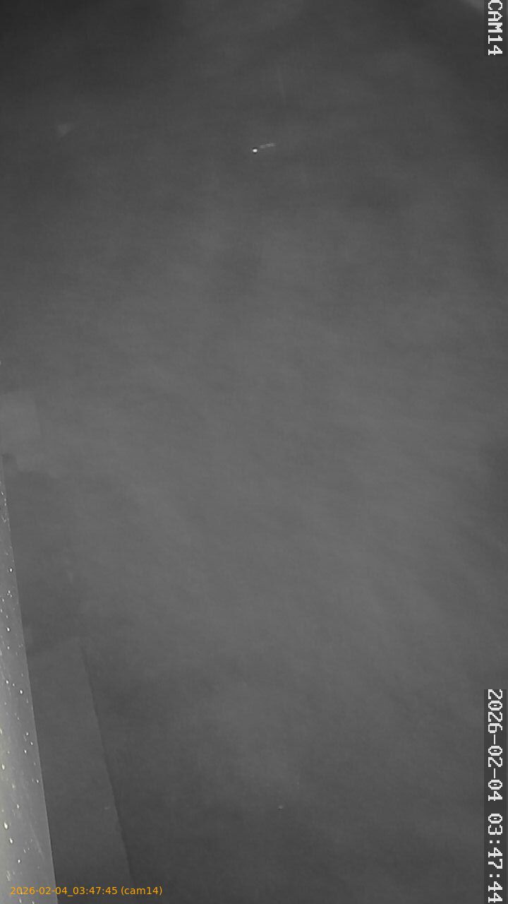 thumbnail_20260204034745