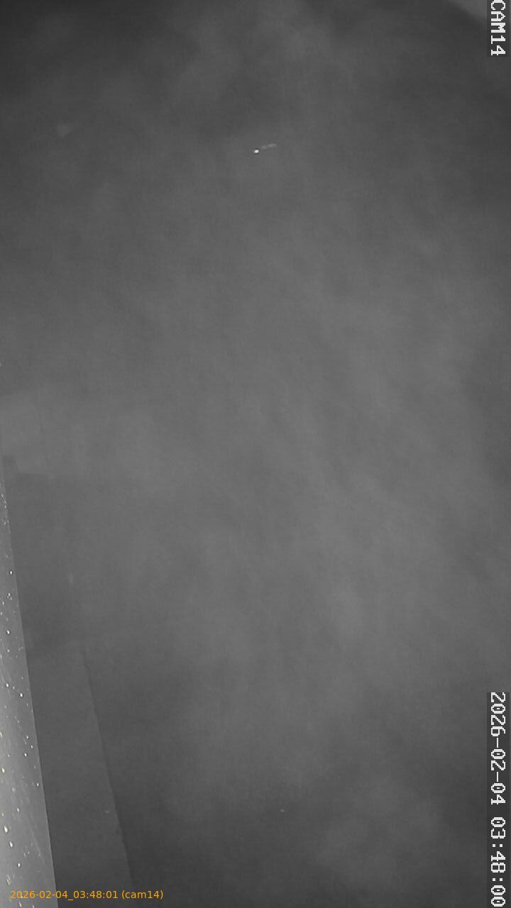 thumbnail_20260204034801