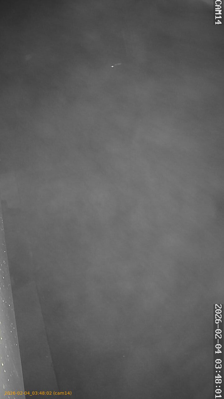 thumbnail_20260204034802