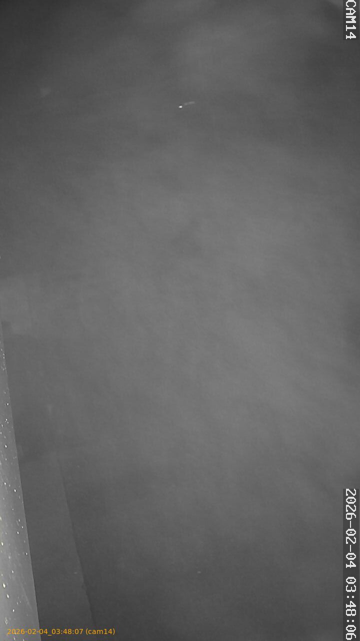 thumbnail_20260204034807