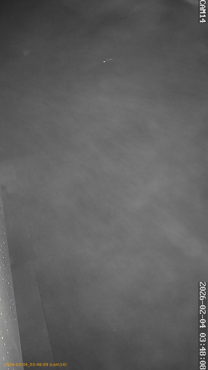 thumbnail_20260204034809