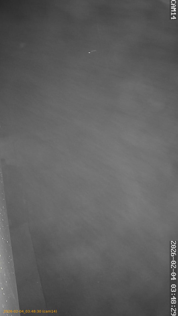 thumbnail_20260204034830