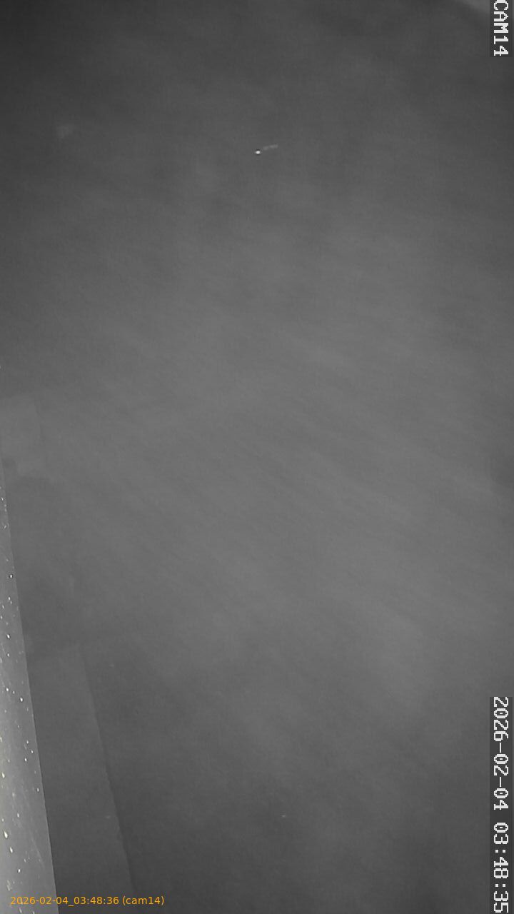 thumbnail_20260204034836