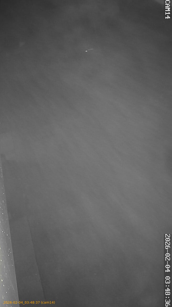 thumbnail_20260204034837