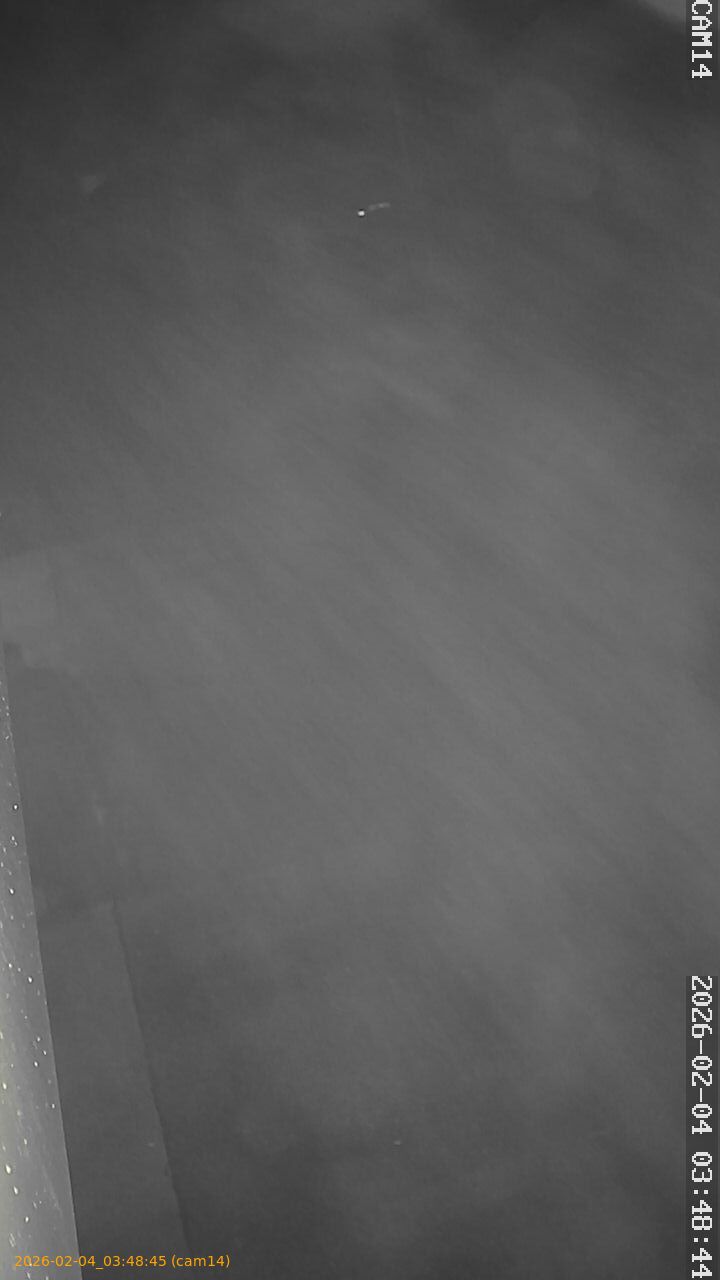 thumbnail_20260204034845