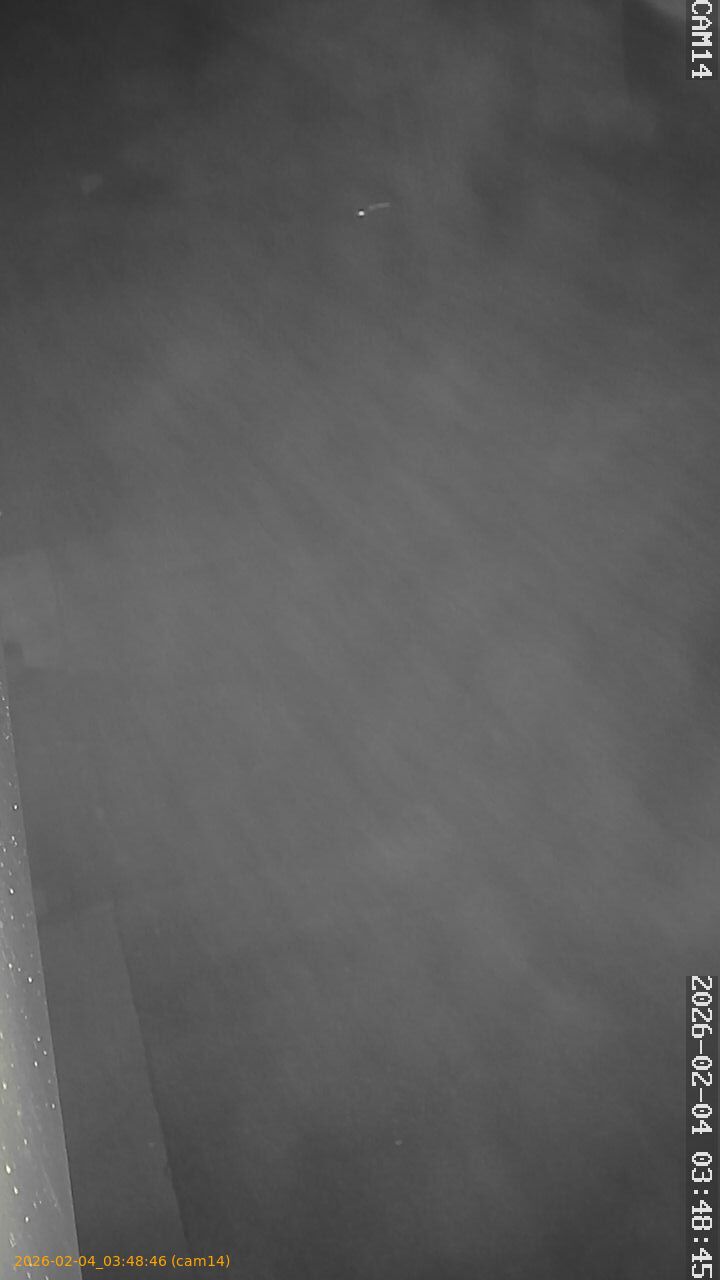 thumbnail_20260204034846