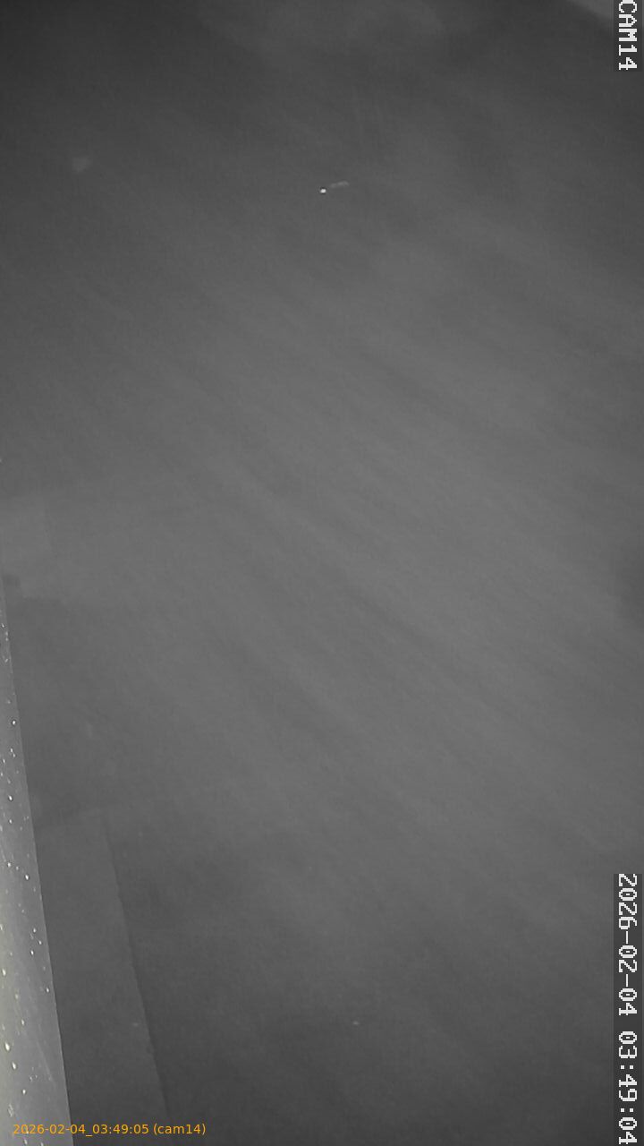 thumbnail_20260204034905