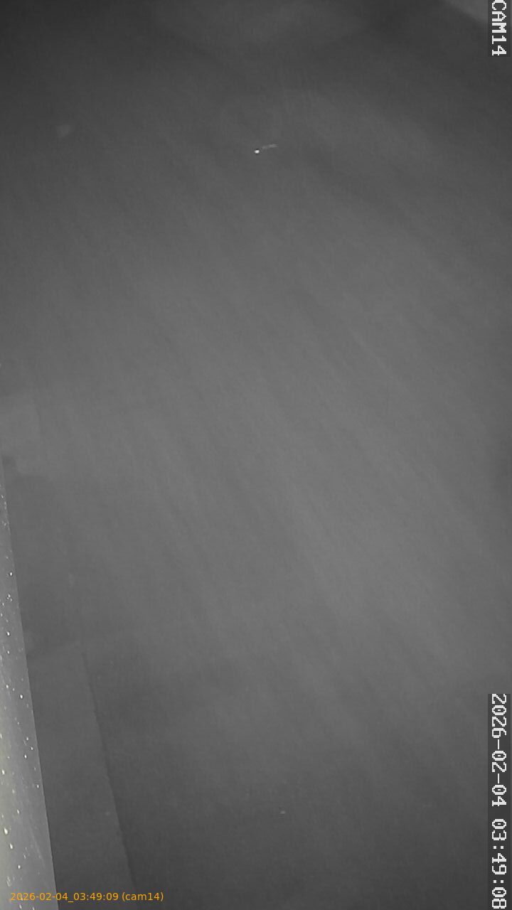 thumbnail_20260204034909