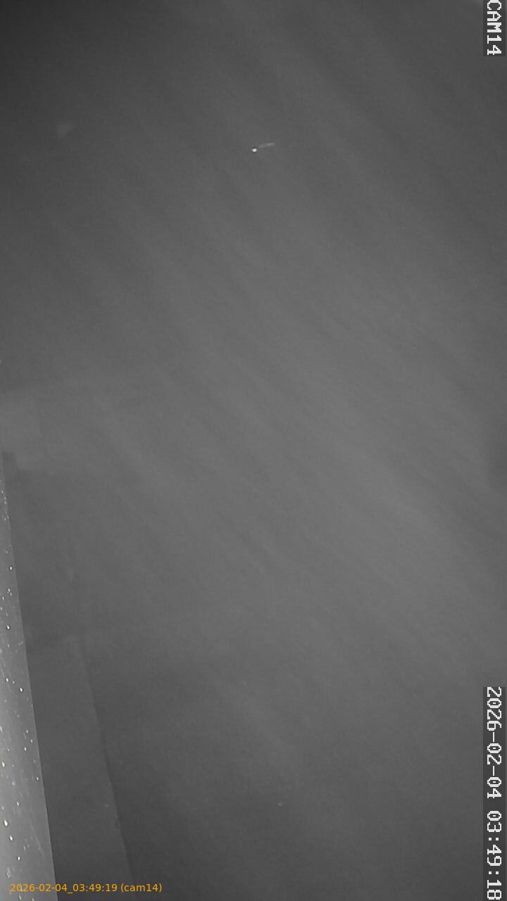 thumbnail_20260204034919