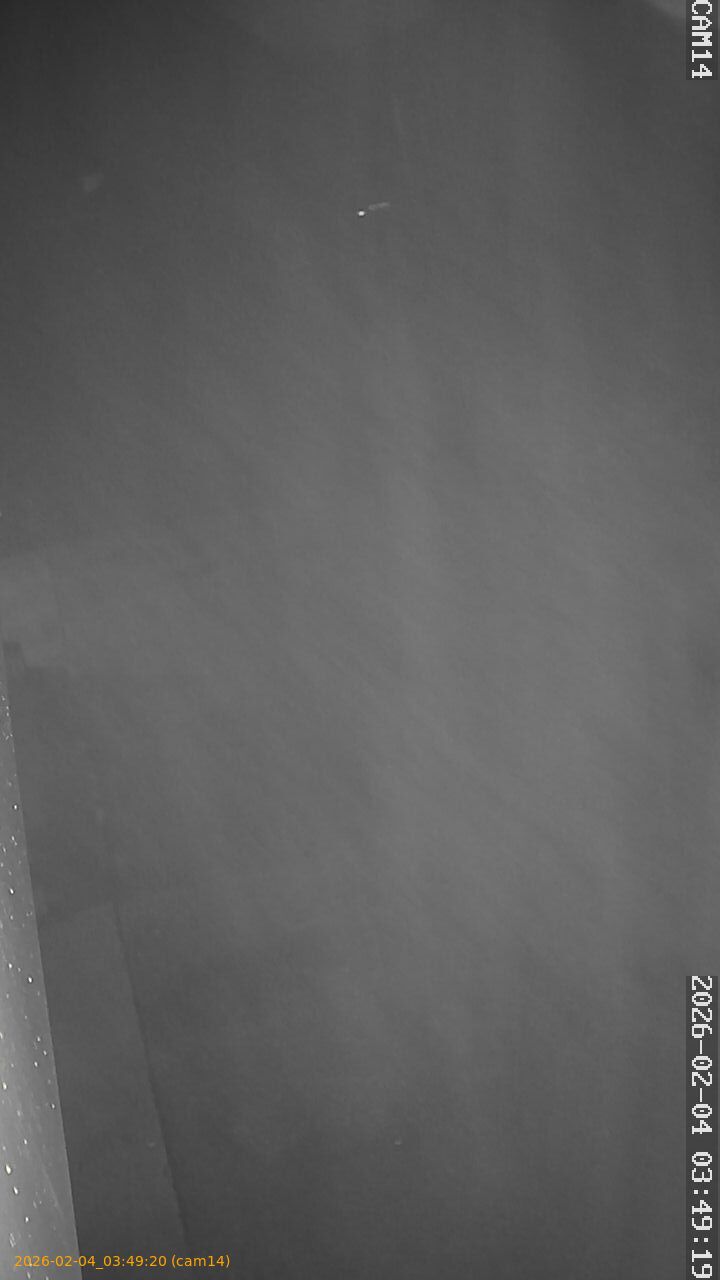 thumbnail_20260204034920