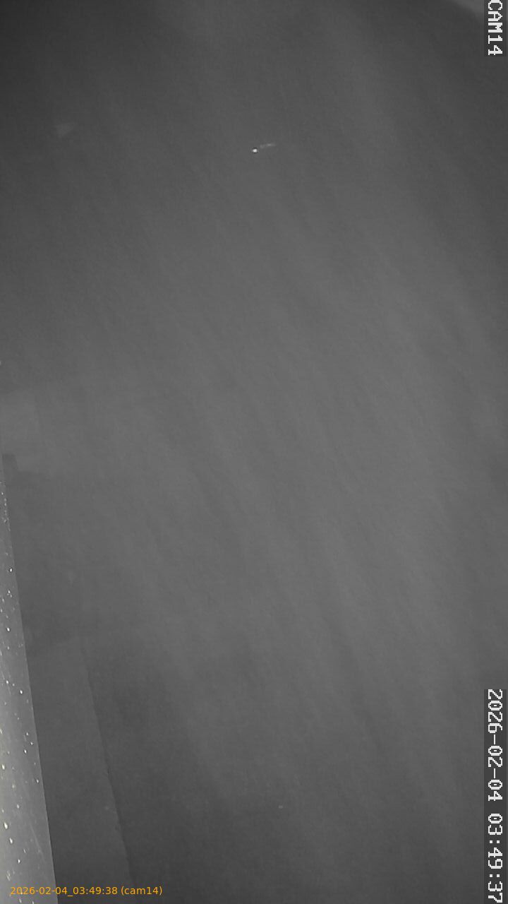 thumbnail_20260204034938