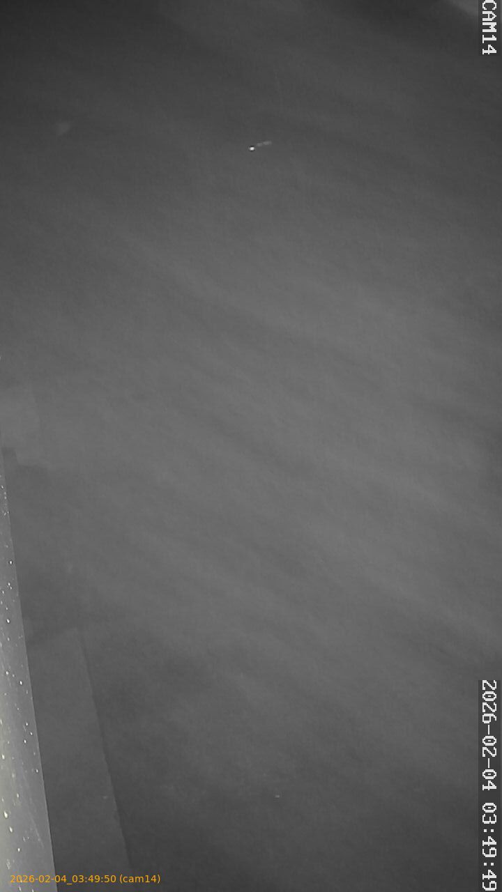 thumbnail_20260204034950