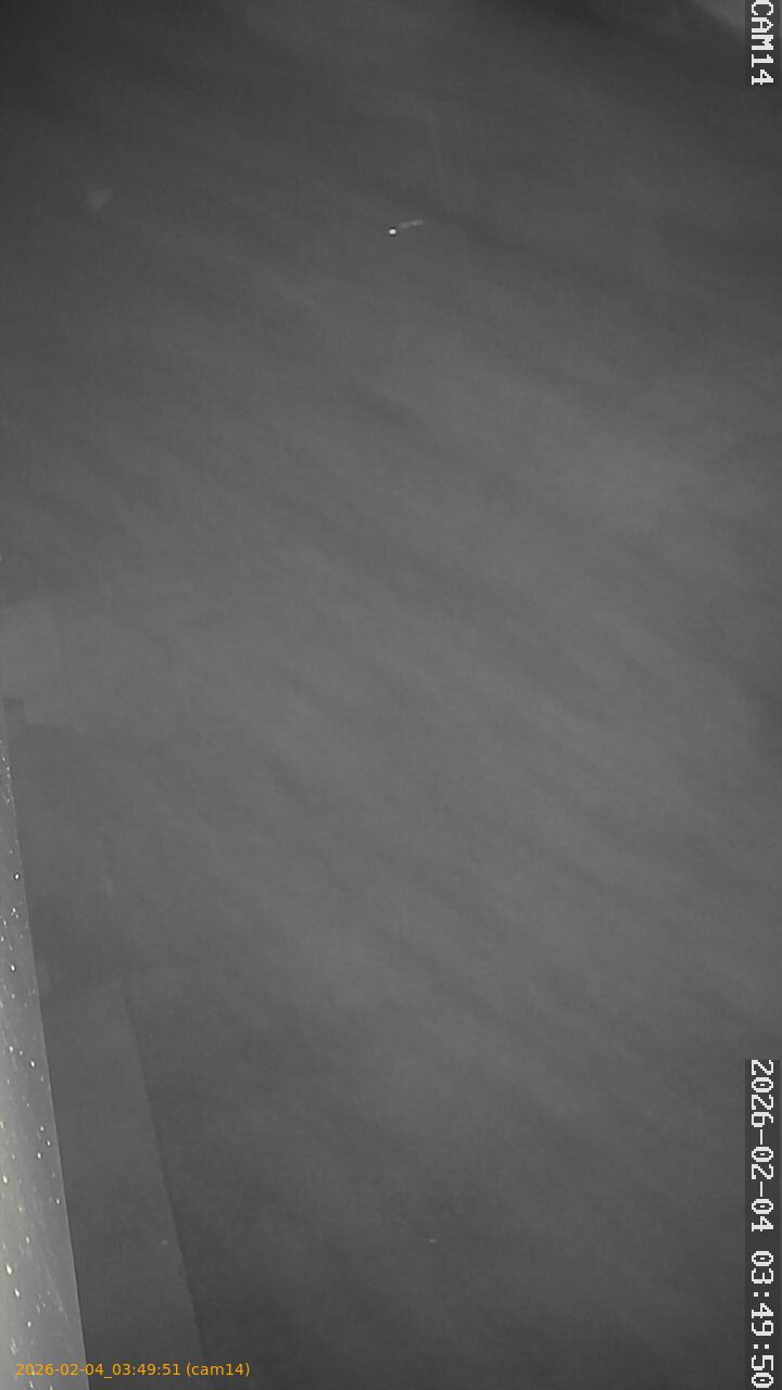 thumbnail_20260204034951