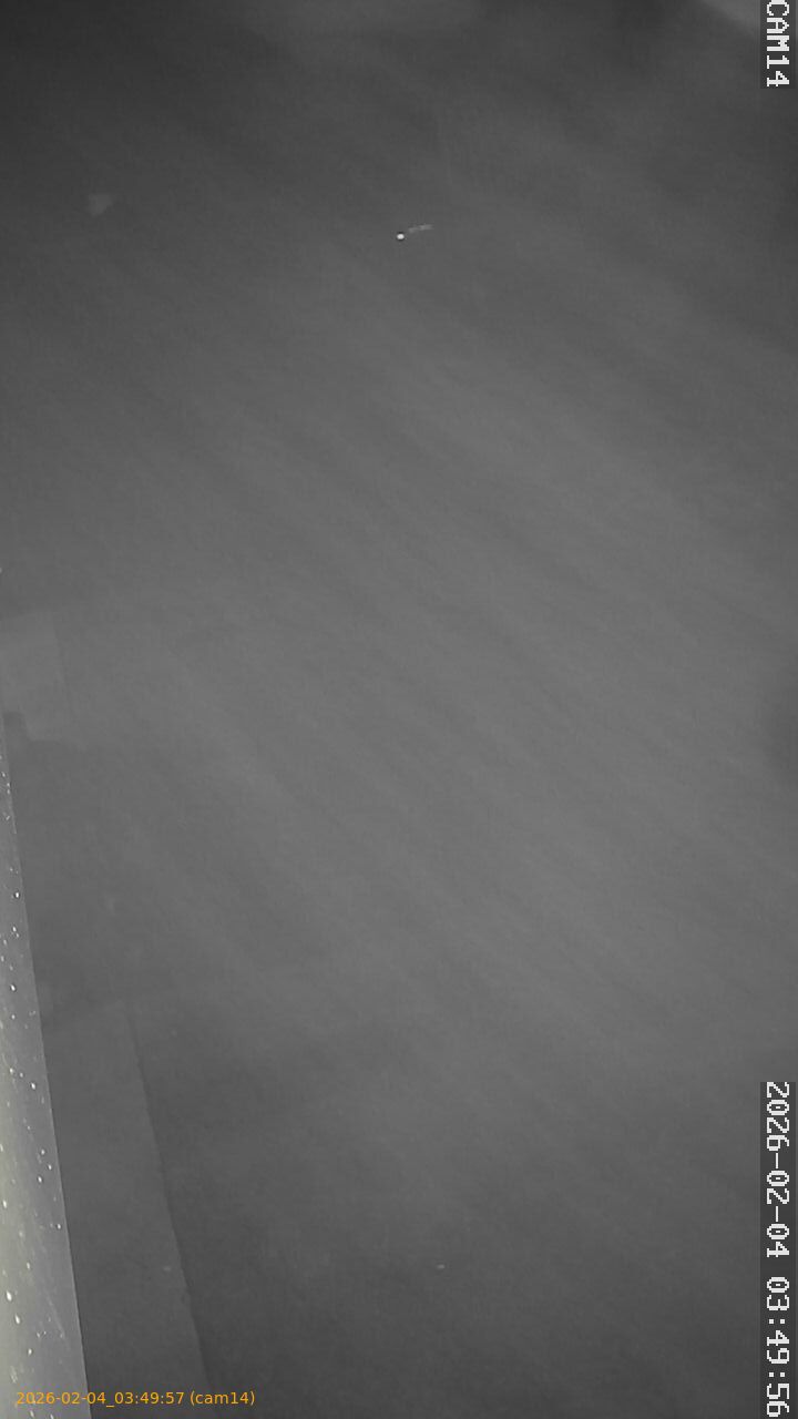 thumbnail_20260204034957