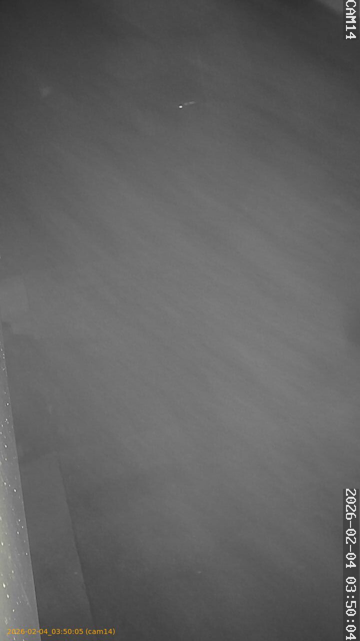 thumbnail_20260204035005