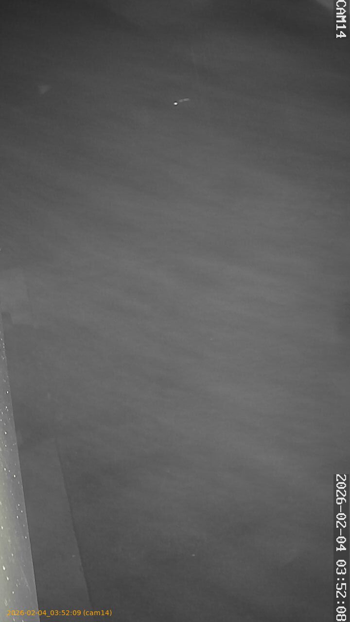 thumbnail_20260204035209