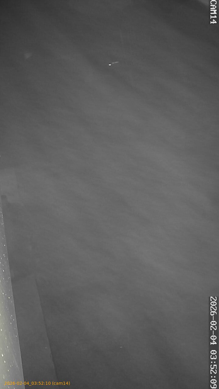 thumbnail_20260204035210