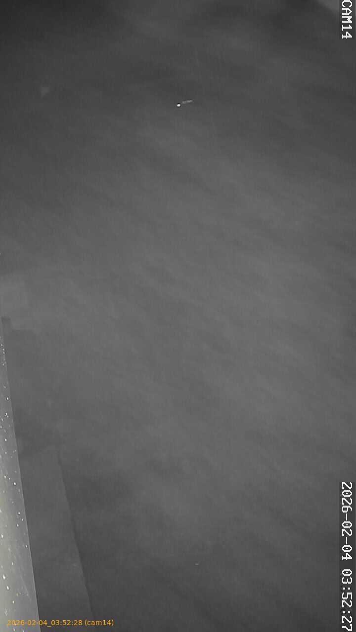 thumbnail_20260204035228