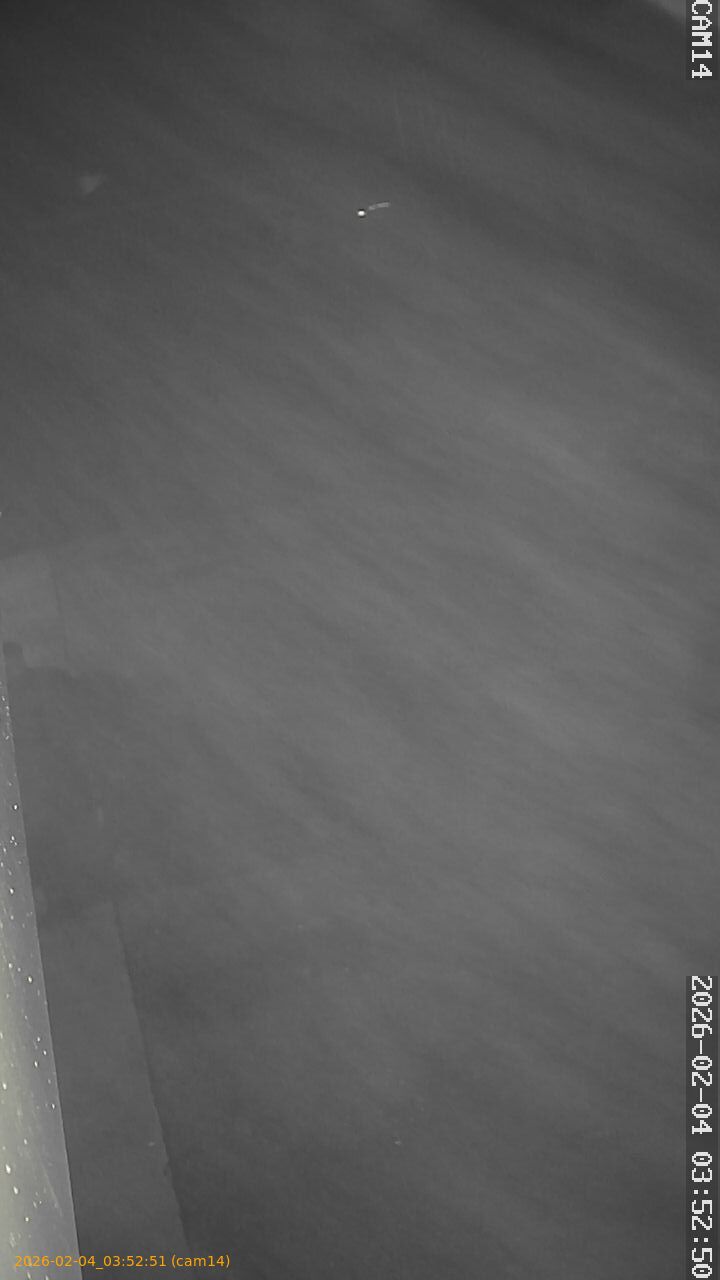 thumbnail_20260204035251