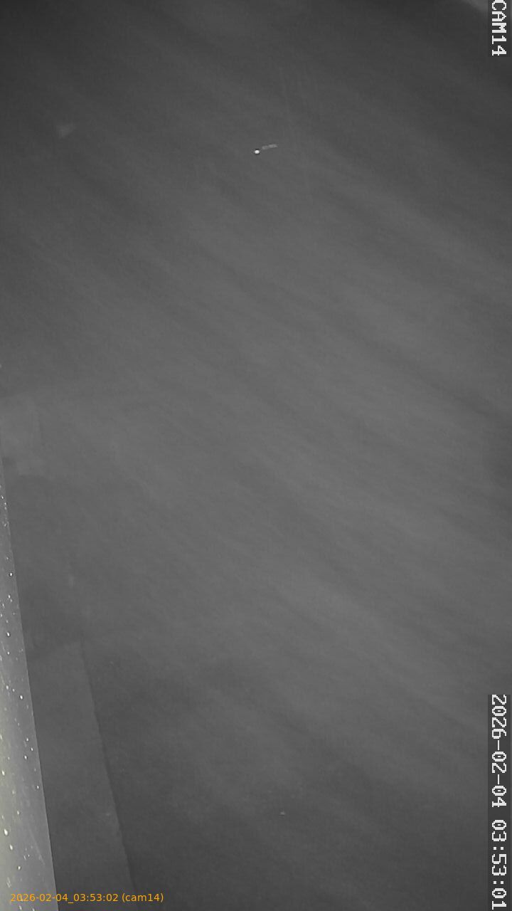 thumbnail_20260204035302