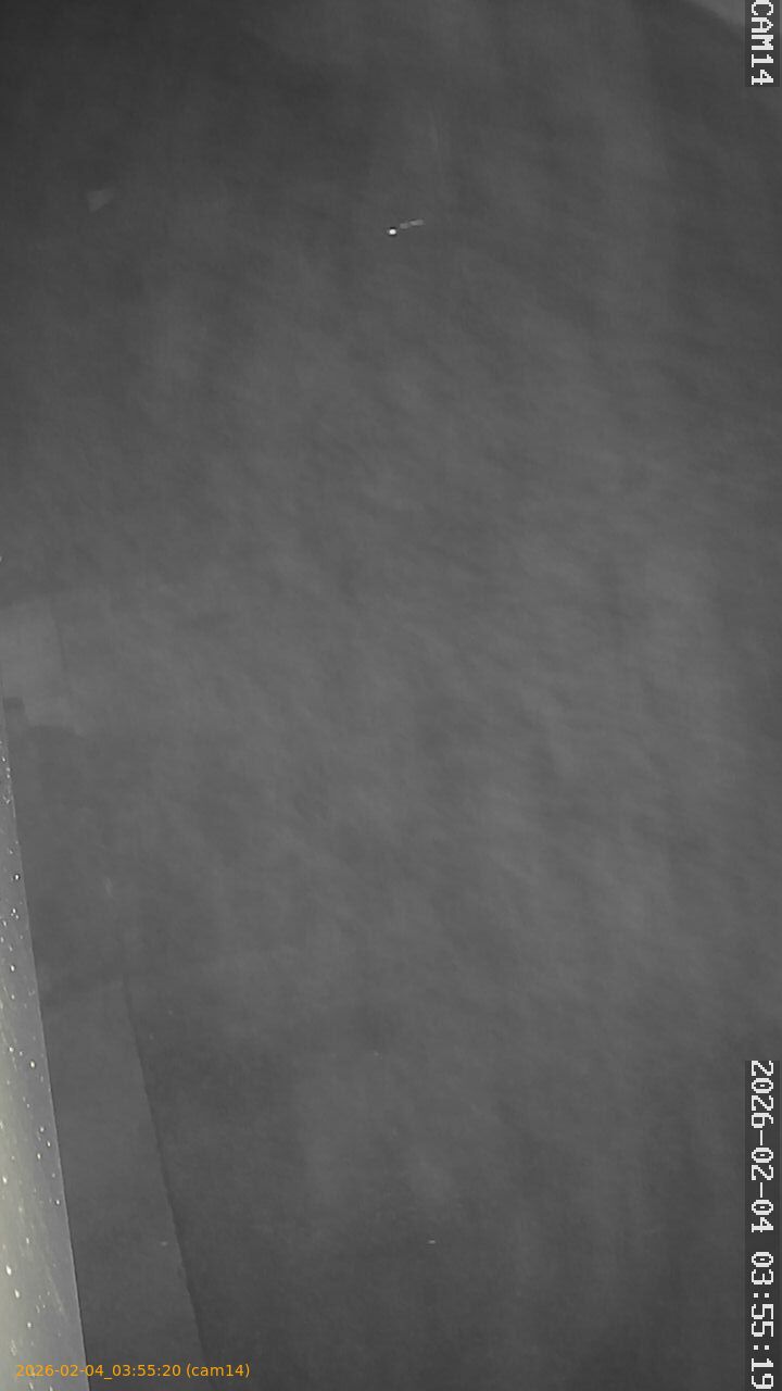 thumbnail_20260204035520